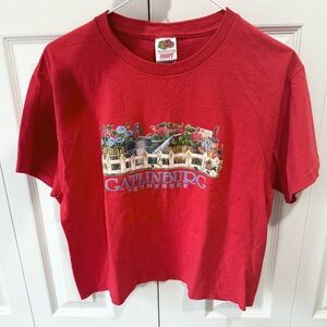 NWOT Vintage Gatlinburg Tennessee garden crop top MD